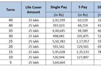 Term Insurance Premium Calculator Max Life